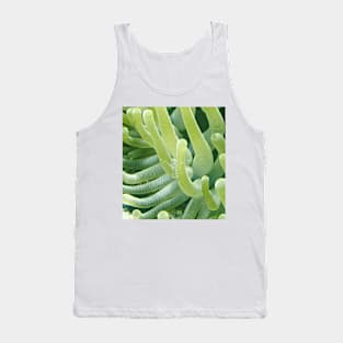 Shrimp on a Green Sea Anemone Tank Top